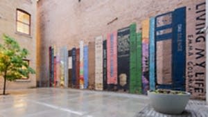 Wall Murals